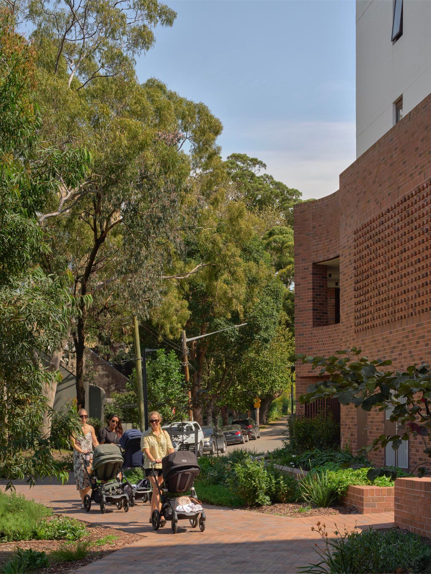 Surry Hills2.001.jpeg